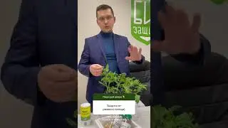 Защита от Ржавого клеща?
