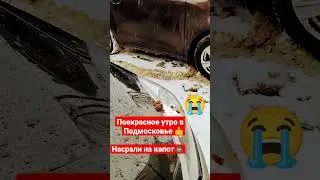 Невероятная культура в России