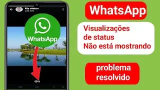 Problema de não exibição de visualizações de status do WhatsApp | Como corrigir visualizações de