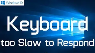 Keyboard too Slow to Respond in Windows 10 (Fixed: One Simple Method)