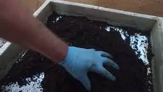 Как убрать влажность в субстрате с червём. Способ 3.