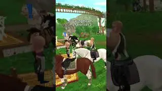 Equestrian festival 101 