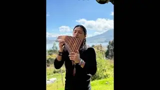 Live Music From Beautiful Nature