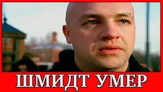 Шмидт из сериала 