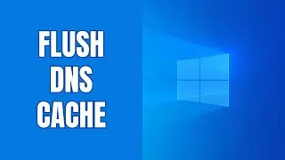 How to flush DNS cache on Windows 11 (quick tutorial)