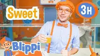 Blippi Visits an Orange Farm| BLIPPI | 💤 Bedtime, Wind Down, and Sleep with Moonbug Kids