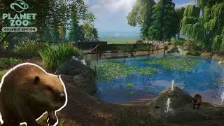 Welcome to the Wetlands! Beaver Habitat Build🦫 | Planet Zoo Console Edition Franchise Mode | Ep.9 |