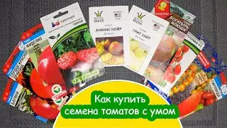 Как купить семена томатов / На что обращать внимание Как купить нужные семена