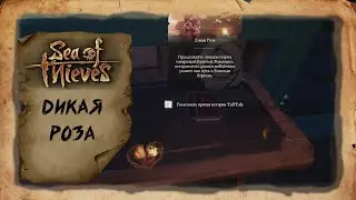 Sea of Thieves - Дикая роза пятый квест Золотые берега