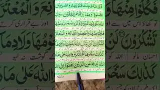 surah alhaj ayat 38#quranpak #translation#youtubeshort#quranpak