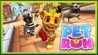 Pet Run - Puppy Dog Run Game