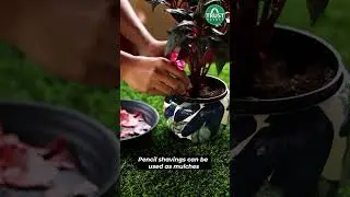 Gardening Hacks