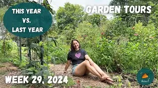 Did I actually learn anything from last year's garden? | Garden Tour WEEK 29, 2024