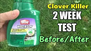 Ortho Clover Killer 2 WEEK TEST - Before / After with Daily Results