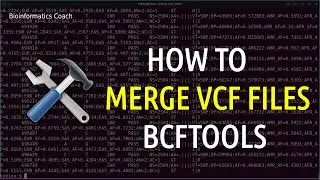 Bioinformatricks | Merge - Combine VCF files with bcftools  tutorial