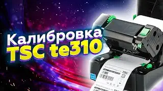 Калибровка термотрансферного принтера этикеток TSC TE310 | Настройка печати