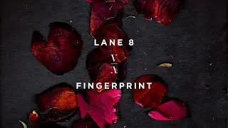 Lane 8 - Fingerprint