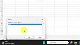 Mastering Excel Worksheets Rename, Hide & Unhide!