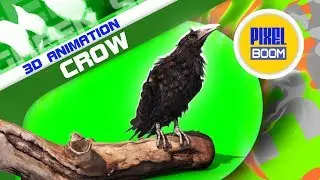 Green Screen Crow on the Tombstone - PixelBoom 3D Animations