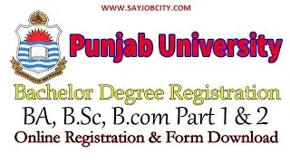 Punjab University BA Online Registration for Private Students 2022 - PU Online Registration Form -PU