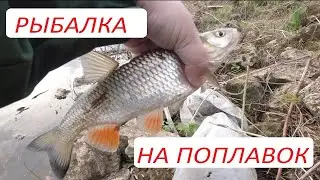 Четыре вида рыбы на поплавок. Рыбалка весной на Волге.