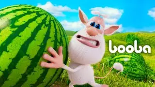 Booba Watermelon 🍉 CGI animated shorts 🍉 Super ToonsTV