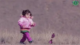 AMAZING BUTTERFLY MANIPULATION WITH MODIFIED WITH A GIRL IN PHOTOSHOP CS 6 1