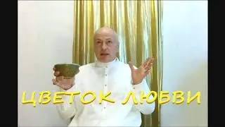 ЦВЕТОК ЛЮБВИ