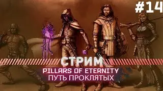 Pillars of Eternity ПУТЬ ПРОКЛЯТЫХ #14