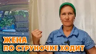 КТО В ДОМЕ ХОЗЯИН❓ Куда столько рассады❓ Зачем нам дача❓ 20 июня 2024