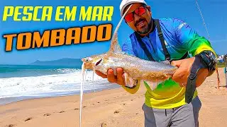Exploring the Sunken Sea: Family Fishing Tips on the Beach Surfcasting