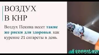 13 фактов об экологических катастрофах и загрязнении окружающей среды