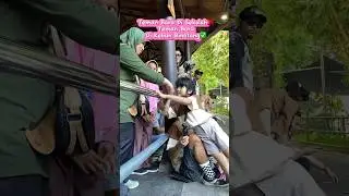 DOMINIQUE SAMPE SALIM KE IBUNYA TEMAN BARU NIH