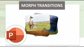 Attractive powerpoint presentation design. Morph transition, PowerPoint tutorials.