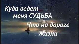 Куда ведет меня моя судьба ✅ Что там на дороге жизни/Таро Онлайн Расклад/ Таро DIAMOND WAY