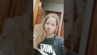 красавчик, извините за не хватку музыки