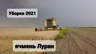 Уборка 2021 с градом и дождём, тонут надежды на урожай...