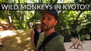 We Found WILD MONKEYS in Kyoto?