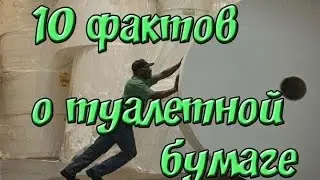 Интересные Факты о туалетной бумаге Топ 10