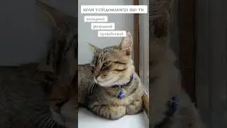 #ukraine