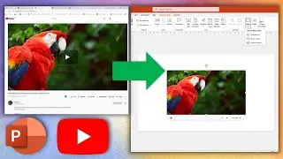 How to Insert a YouTube Video in PowerPoint