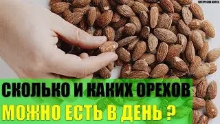 Сколько и каких орехов можно есть в день?