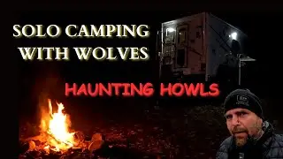 Solo Winter Camping With Wolves Close By.