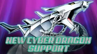 NEW Cyber Dragon Support is Here!