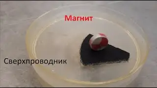 Левитация магнита над сверхпроводником