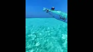 Underwaterstuff shots ||animals ||ocean ||the shark ||the water monsters ||the cute animal videos ||