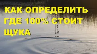 ДЕД из Пятёрочки РАССКАЗАЛ как ОПРЕДЕЛИТЬ где 100% стоит ЩУКА! [+ для новичков] SeMano TV