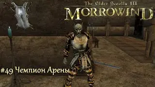 TES III Morrowind Letsplay. #49 Чемпион Арены