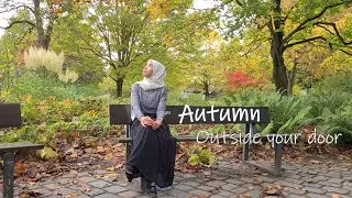 Autumn, most beautiful season in life | Musim tercantik diantara 4 musim