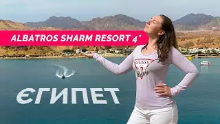 Єгипет 2024. Albatros Sharm Resort 4*. Лаконічний огляд компактного готелю